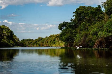 Parque Nacional do Araguaia – Trải nghiệm Thiên Nhiên hoang dã và Đa dạng Sinh học độc đáo!