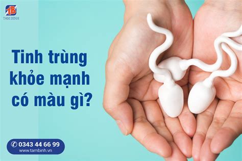 Thung Krung – Nơi Cổ Tích Ngầm Trong Lòng Đất Chiang Mai!